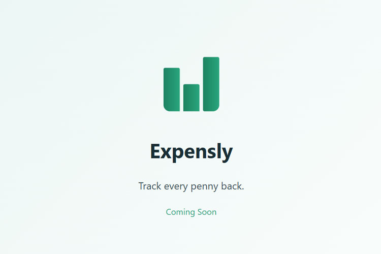 website/web dev